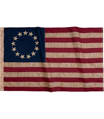 Amazon.com : ROTERDON Vintage American Flag 3x5 FT, Tea Stained